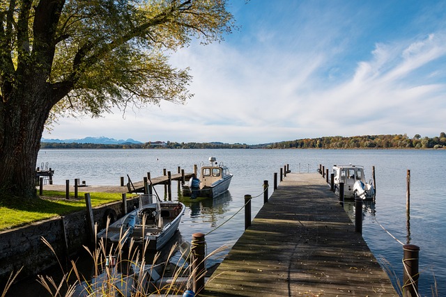 了可复制的 了可复制的